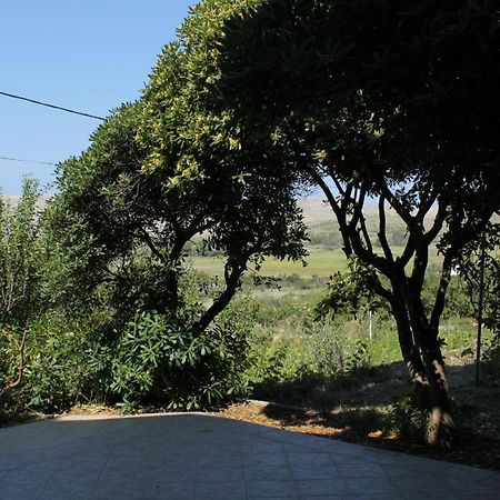 Family Friendly Seaside Apartments Vlasici, Pag - 4319 المظهر الخارجي الصورة