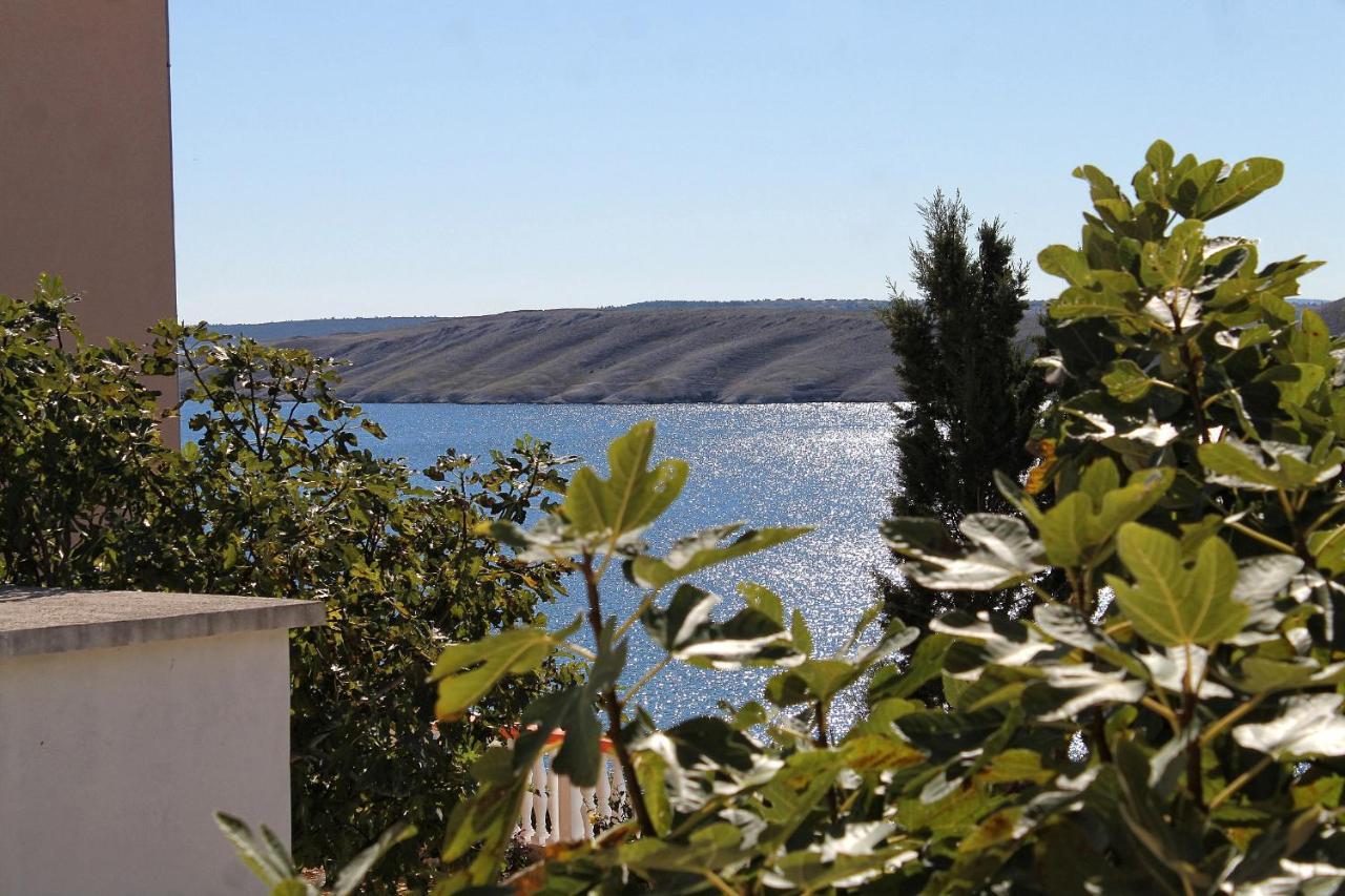 Family Friendly Seaside Apartments Vlasici, Pag - 4319 المظهر الخارجي الصورة